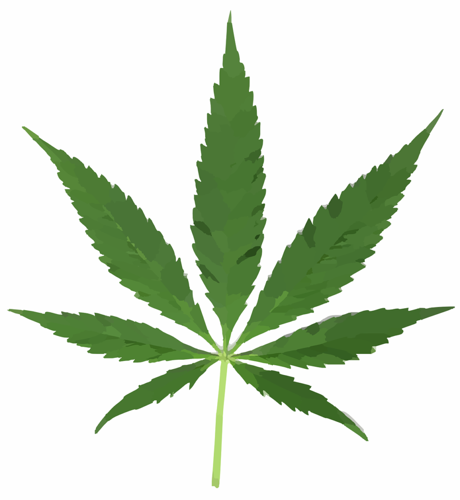 Cannabis-297097_1280